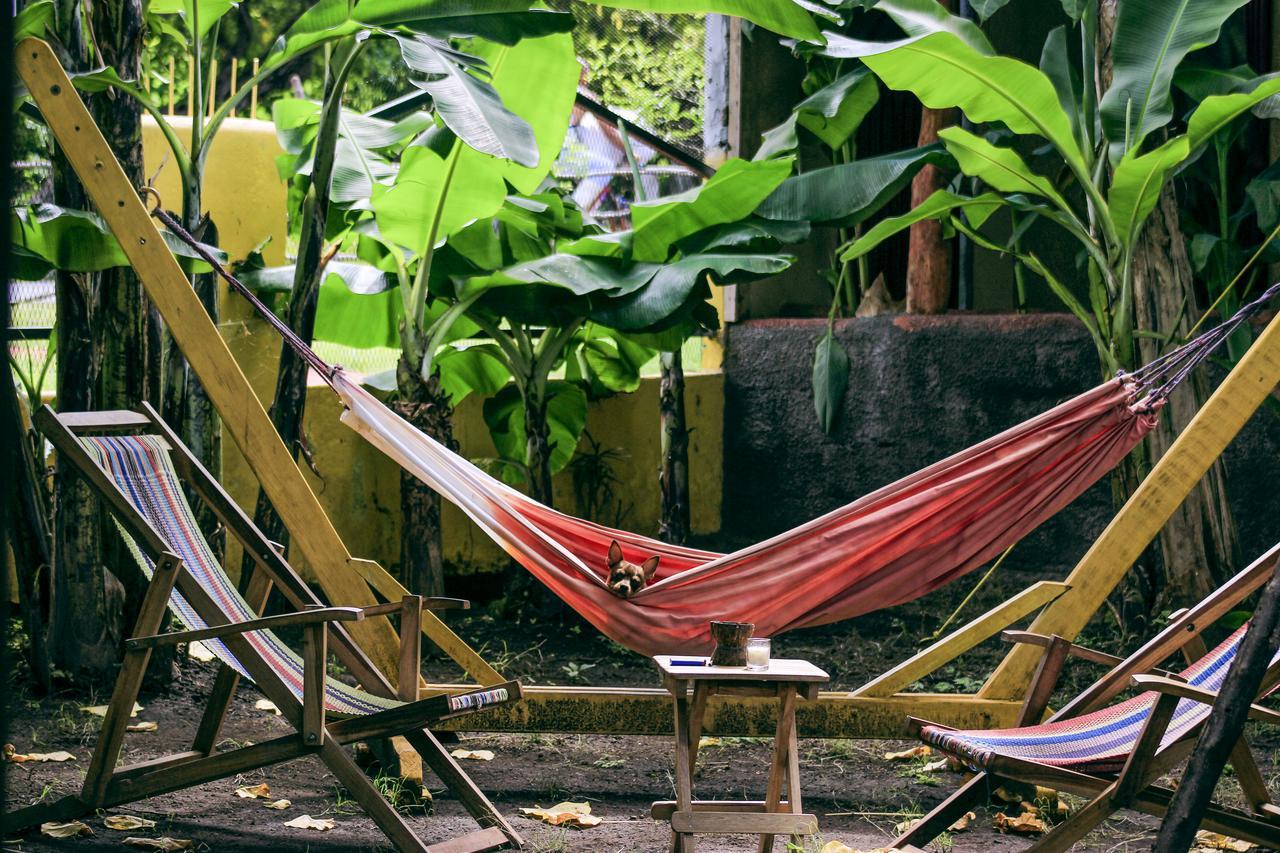 Hostel Life Is Good Moyogalpa Exterior foto